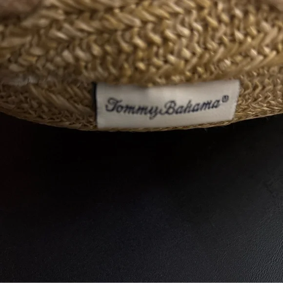 The Tommy Bahama Pineapple Tropical Pillow indoor/outdoor - Picture 3 of 4